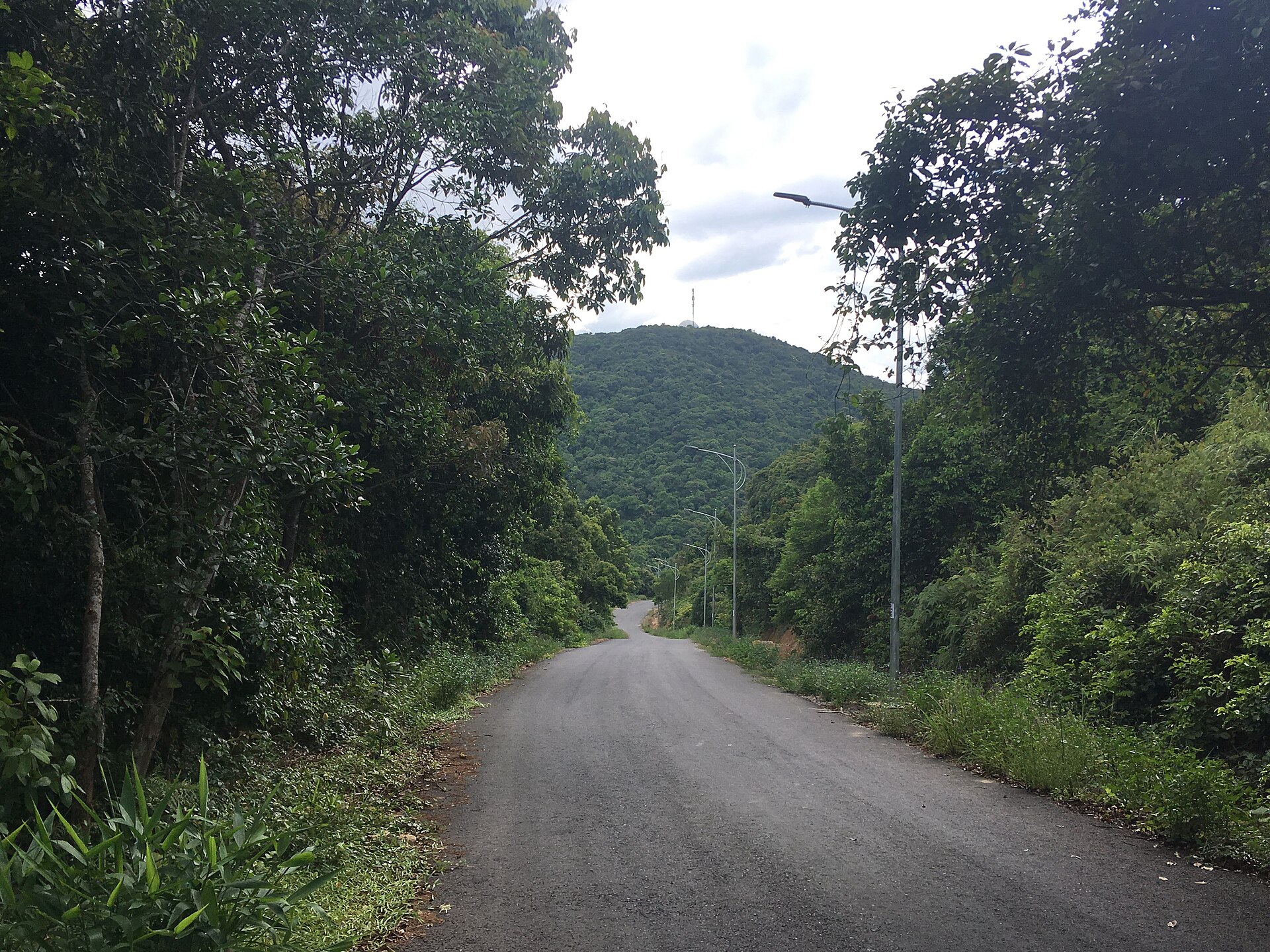 The loop road around the Son Tra peninsula